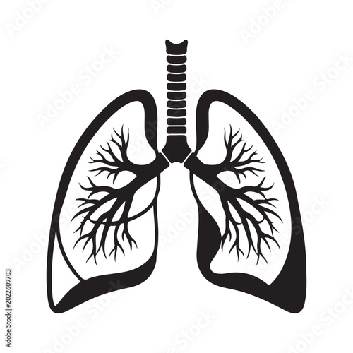 Tableau sur toile Human lungs vector illustration with trachea and bronchial tree for medical and