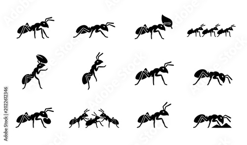 Canvas Print Black silhouettes of ants in different poses and colony activity.