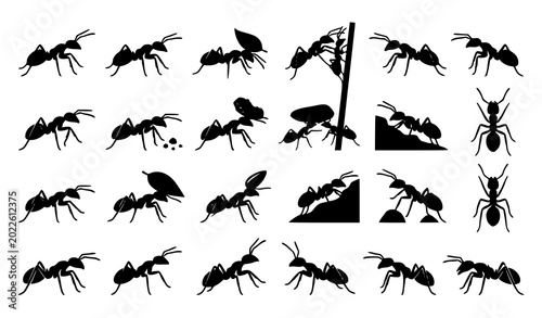 Bild auf Leinwand Detailed silhouettes of ants crawling and working in a colony environment