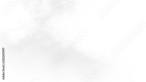 Smoke rises from a fire in a forest during daytime creating a misty effect on a clear sky