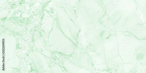Quadro su tela Soft green marble texture, watercolor wash, translucent veins, icy pastel tones, organic stone patterns, subtle fluid details, minimal abstract background design vector