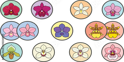 Fotografi Tropical Orchid Flower Circle Icon Set Featuring Phalaenopsis Cattleya Vanda And