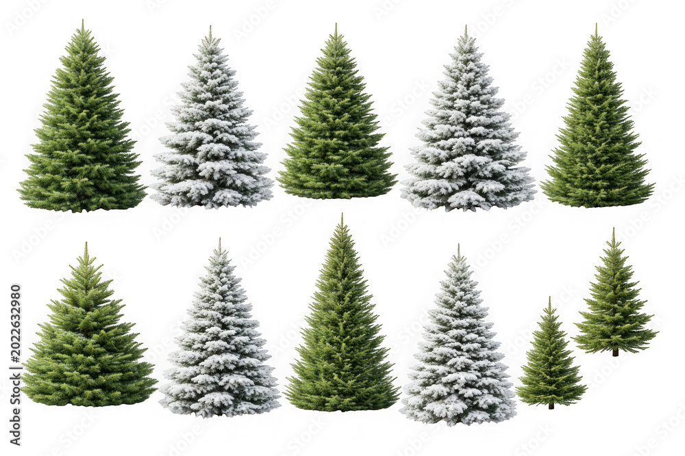 Obraz premium Collection of realistic evergreen fir trees covered with white snow as isolated on transparent background