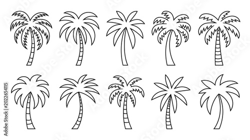 Photos Collection of twelve palm tree line drawings with varying frond styles on a whit