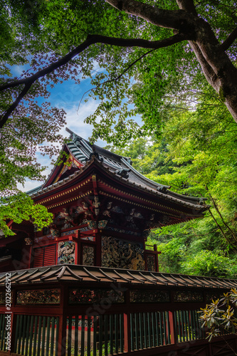 фотографія The Yakuoin Temple, officially known as Takaosan Yakuoin Yukiji is located at the summit of Mt Takao