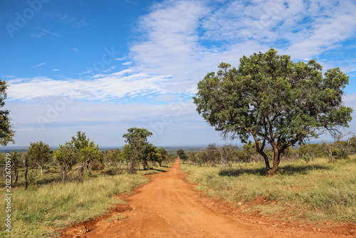 Obraz na płótnie Landschaft im Mabalingwe Game Reserve