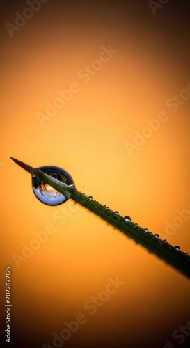 Macro shot of water droplet on a blade of grass.