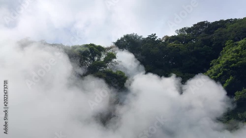Thick geothermal steam rises from the hot spring at Umi Jigoku. Heavy volcanic vapor covers the lush green hillside in Beppu. Hot mist billows continuously over the tropical trees in Japan.