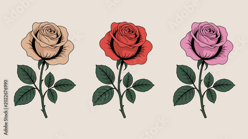 Vászonkép Three roses with stems and leaves colorful floral illustration on a beige backgr