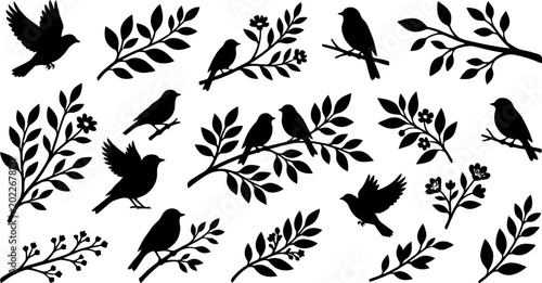 Photos Bird and branch silhouettes on a white background
