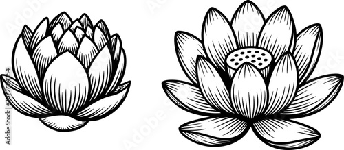 Tableau sur toile Hand Drawn Lotus Flower Vector Illustration Set Featuring Vintage Engraving Styl