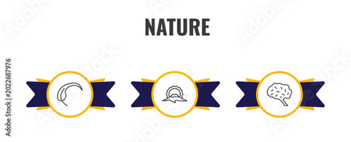 Slika na platnu nature outline icon set