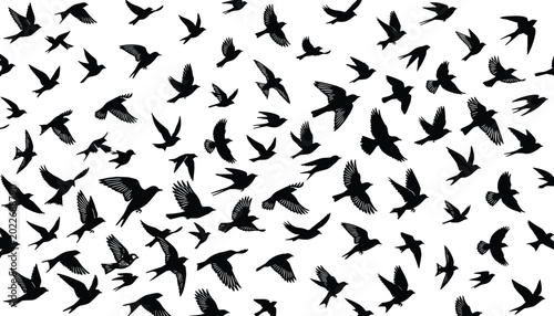 Tableau sur toile Flock of birds in flight soaring across sky many birds flying in unison silhouette art pattern background many small birds soaring high in sky for freedom concept and travel