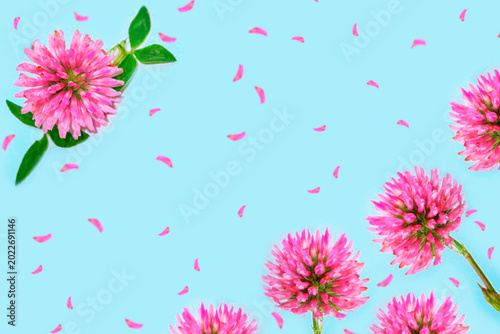 Petals. Natural floral arrangement. Pink clover with leaves. Frame.