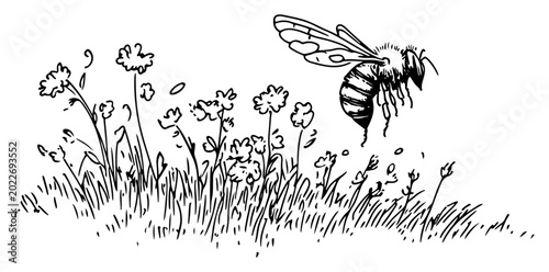 Billede på lærred Honey bee flying over wildflower meadow in hand drawn sketch style