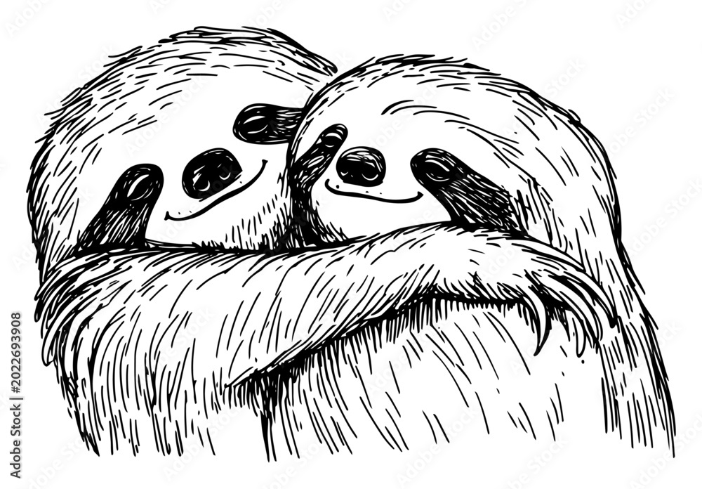 Fototapeta premium two sloths hugging closely with detailed fur textures in vintage engraving style