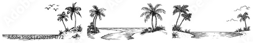 Photography Seaside beach vignettes with palm trees and flying birds in hand drawn sketch st