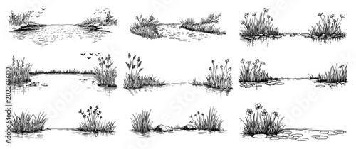 Quadro su tela Wetland pond nature vignettes with reeds and water lilies in hand drawn sketch s