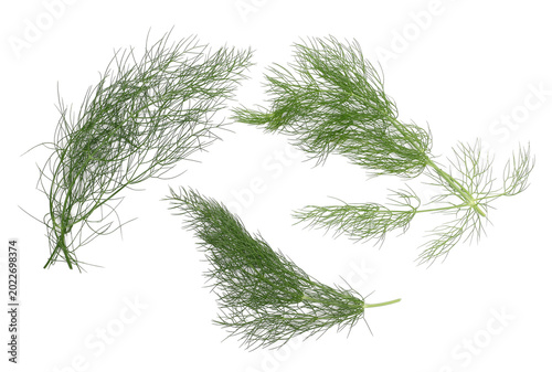Obraz na plátně Set fresh green dill isolated on white background, top view