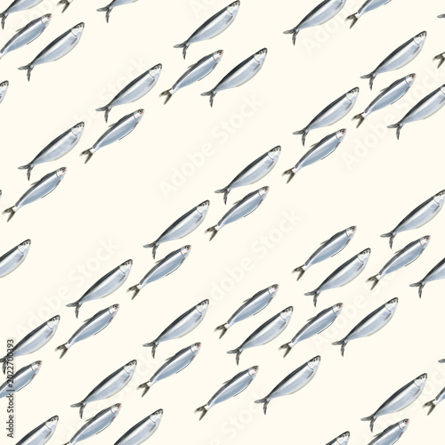 Photography Minimalist watercolor seamless pattern featuring swimming sardines arranged in a diagonal stripe against a light background