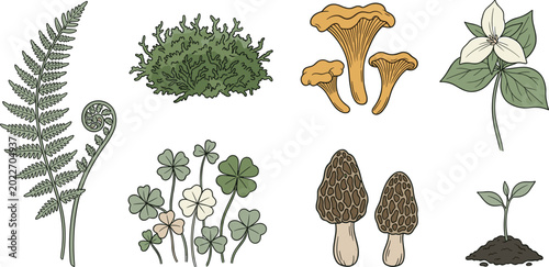 Photos Assortment of Woodland Forest Nature Elements in Line Art Style featuring Fern L