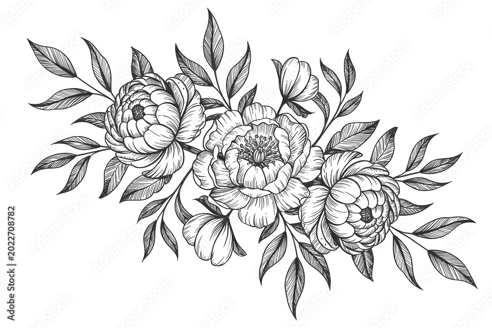 Fototapeta premium Three elegant peony flowers with green leaves