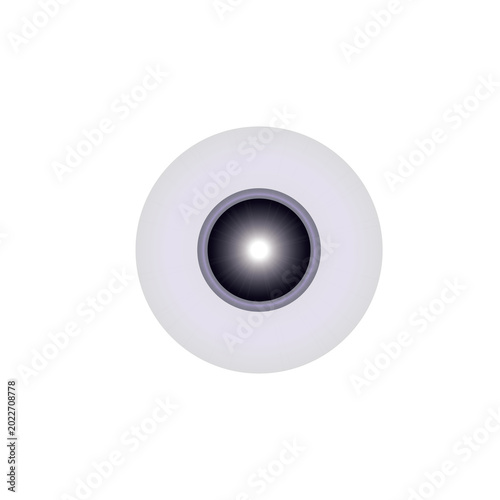 PNG Vector Background 
