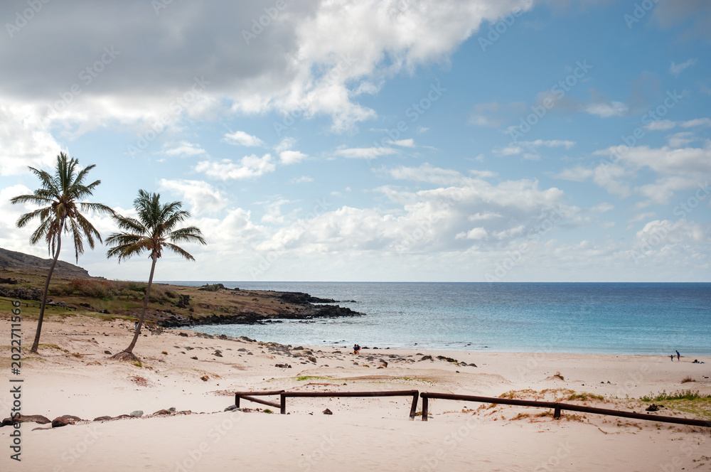 Fototapeta premium Palm tree landscape and white sand beach at Anakena, Easter Island