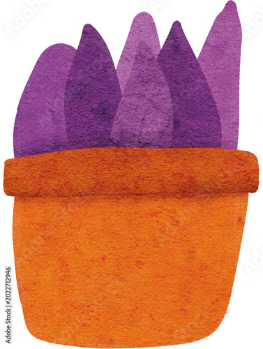 Japanese Sweet Potato Watercolor Illustration