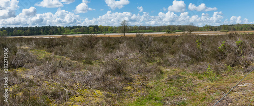 Wide Angle View of a Natural Landscape in Ossendrecht, The Netherlands With Clear Skies and Wetlands