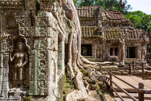 A beautiful view of Ta Prohm's Ruins in the Angkor Thom Complex