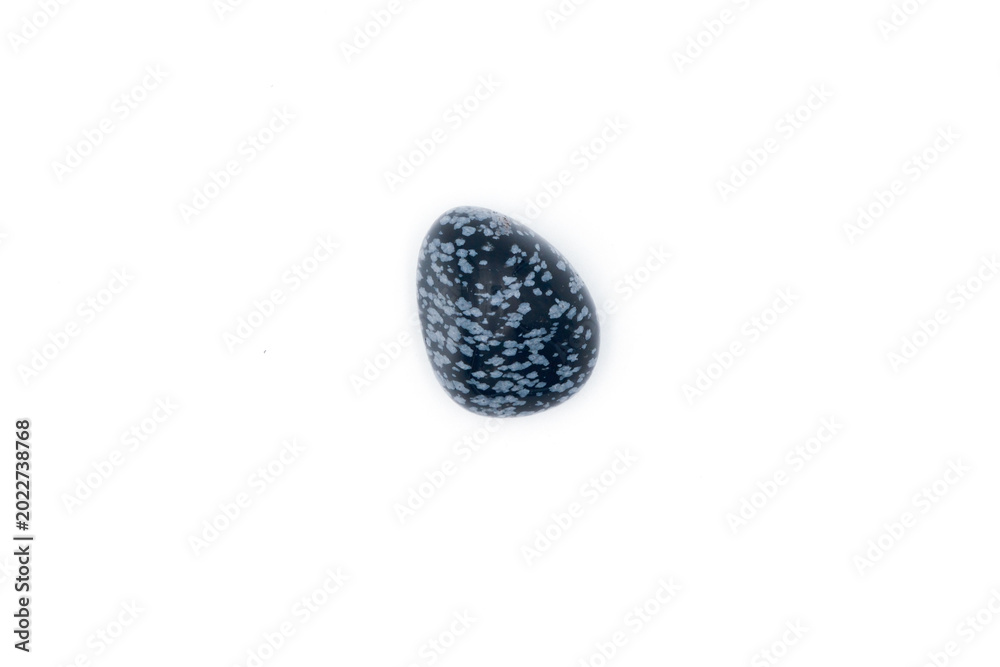 Fototapeta premium Single dark blue stone with white speckles