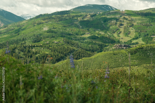 Summer in the rocky mountains near beaver creek resort. 