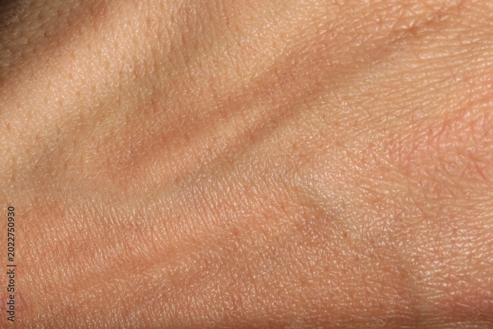 Fototapeta premium Texture of normal skin as background, closeup