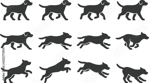Foto Labrador retriever dog silhouettes set showing animation frames of walking runni