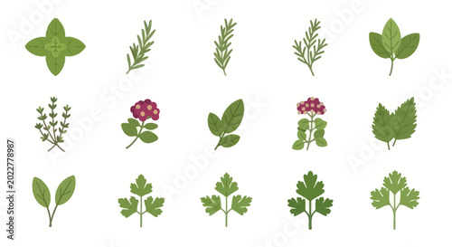 Bild auf Leinwand Herbs and Spices Collection, Culinary Plant Icons