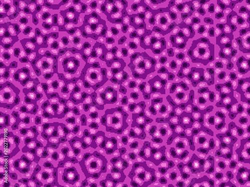 Schilderij op canvas Penrose Style Quasicrystal Symmetric Vector Background