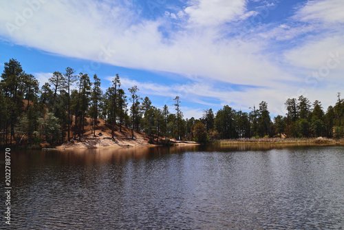 Serene Lakeside Forest View 2