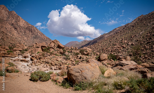Paysage de la vallée du Brandberg en Namibie