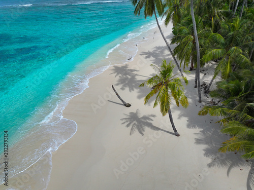Bilde på lerret AERIAL: Empty tropical beach lined with palms in Mentawai Islands