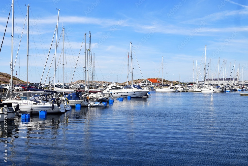 Fototapeta premium The harbor is home to modern watercraft, summer recreational vessels, yachts, and recreational and fishing boats.