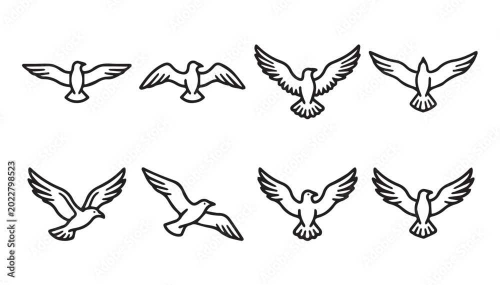 Fototapeta premium Outline collection of birds in flight during daytime with clean composition and simple graphic style