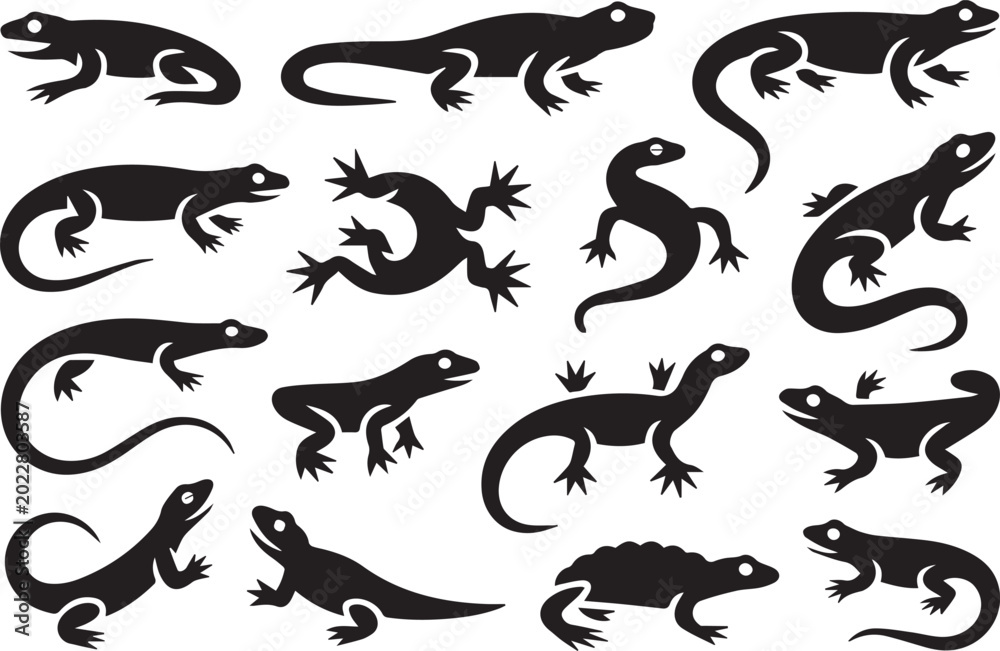 Fototapeta premium Black and white line art illustration of various lizards and salamanders