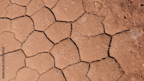 Cracked ground displaying drought in barren landscape