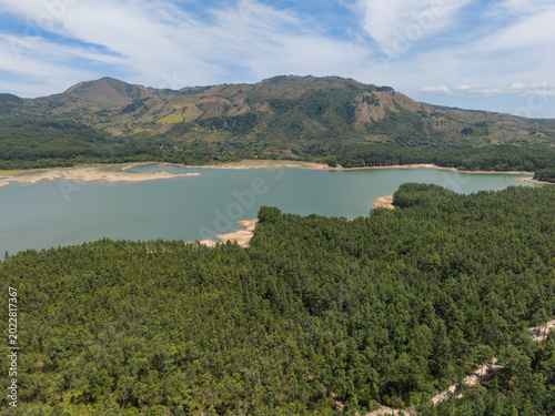 Reserva forestal la yeguada