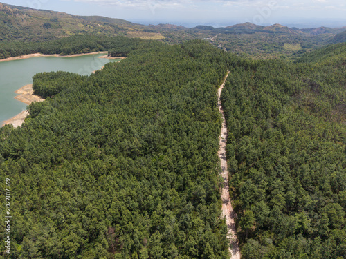 Reserva forestal la yeguada
