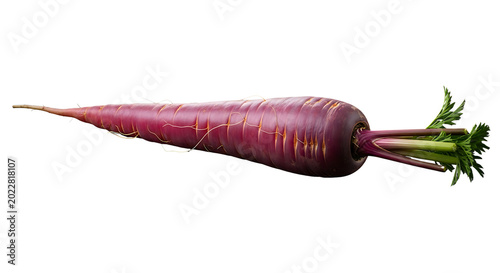 Fresh purple carrot on white background isolated on transparent background