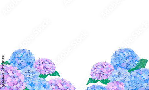 紫と青の紫陽花の背景イラスト　水彩風