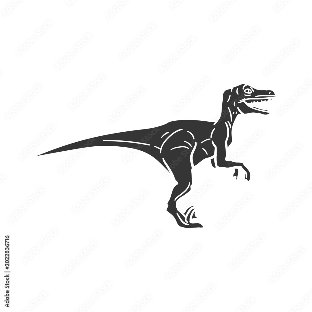 Fototapeta premium Hand drawn velociraptor raptor dinosaur prehistoric predator reptile doodle icon vector