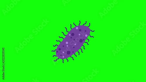 Purple Microscopic Bacteria Cell Moving and Rotating on Green Screen Background for Medical Education